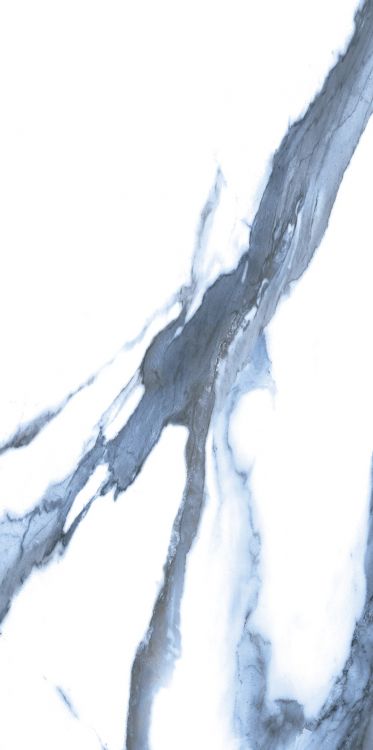Calacatta Blue Polished 12 x 24